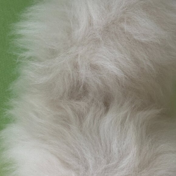 COACH SHEARLING  EARMUFFS:NWT  OFF WHITE  CCL09 main image 7